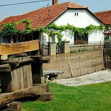 Pataky Borporta