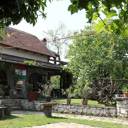 Pataky Borporta * טרקל