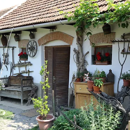 Pataky Borporta Bed & Breakfast *