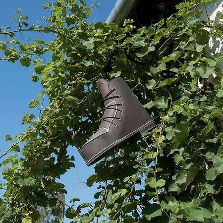 Pataky Borporta * טרקל