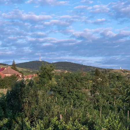 Pataky Borporta לינה וארוחת בוקר *