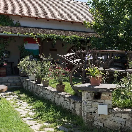 Pataky Borporta * Tarcal