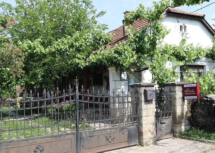 לינה וארוחת בוקר Pataky Borporta