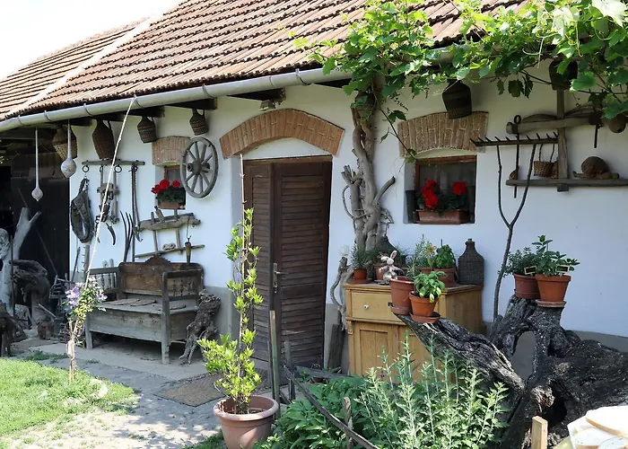 Pataky Borporta לינה וארוחת בוקר *