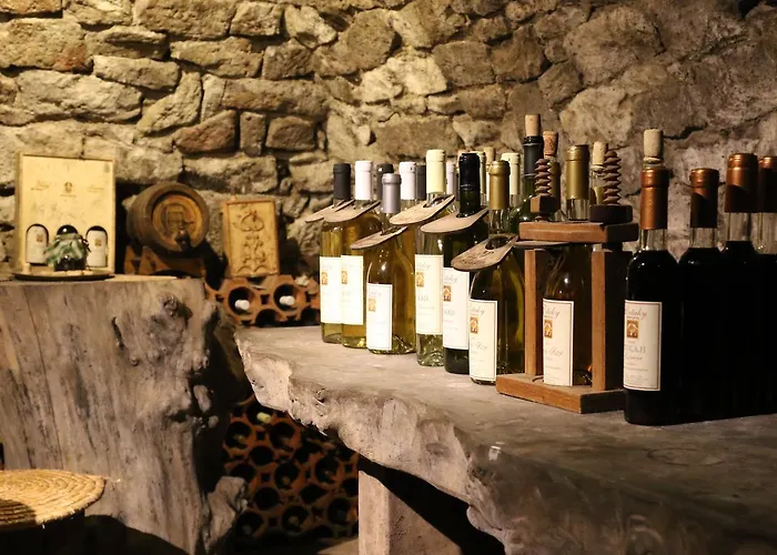 Pataky Borporta לינה וארוחת בוקר טרקל