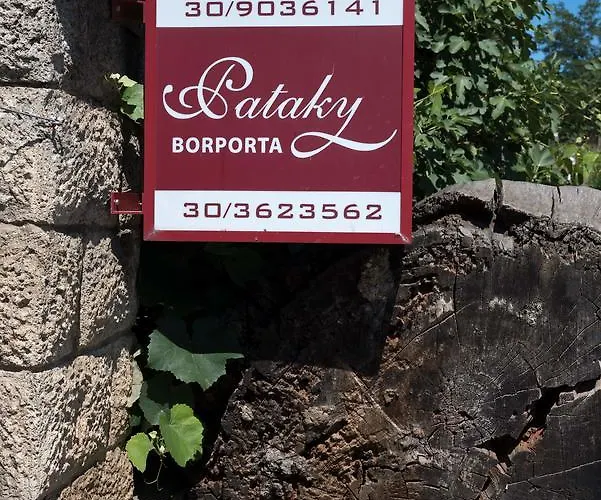 לינה וארוחת בוקר Pataky Borporta