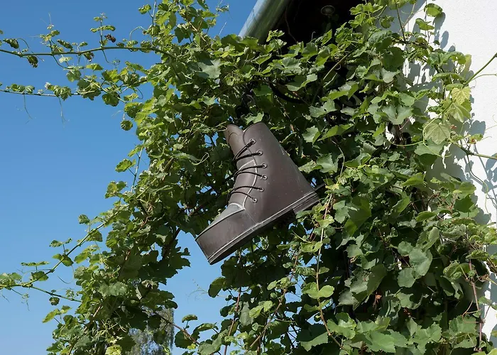 Pataky Borporta * טרקל