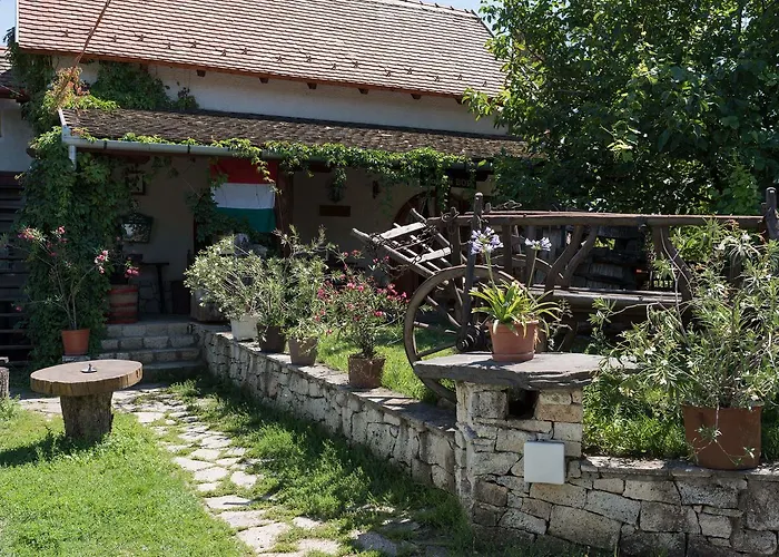 Pataky Borporta * טרקל